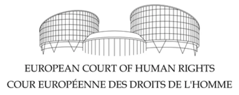 Cour Européenne des Droits de l'Homme