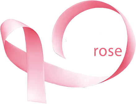 Rencontres Internationales de Sénologie